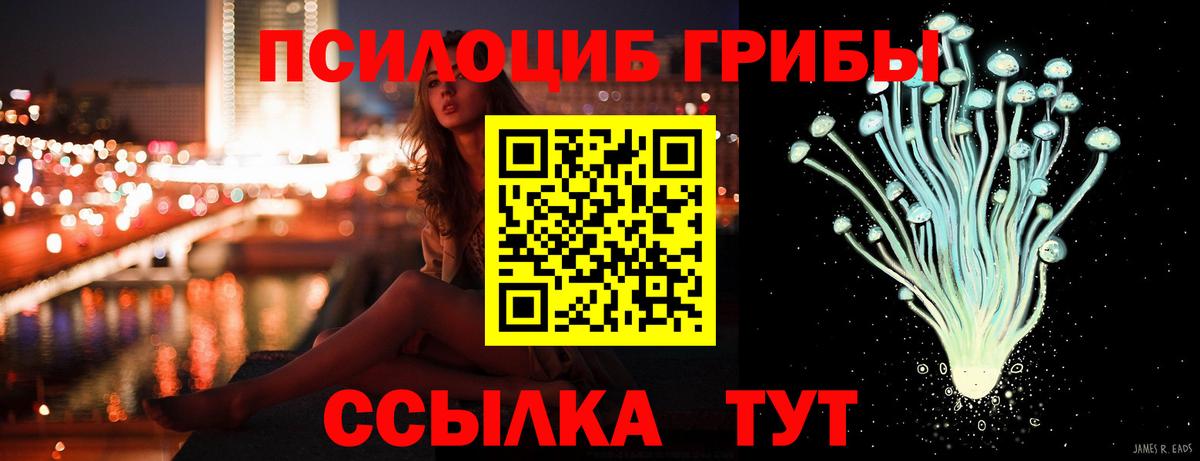 Псилоцибиновые грибы Psilocybine cubensis  Вход с VPN  Горячий Ключ 